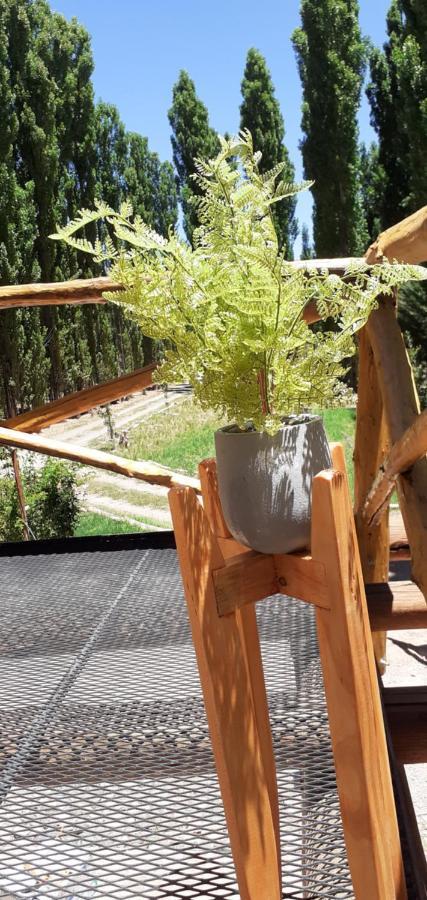 Balcon De Antares Holiday home Uspallata